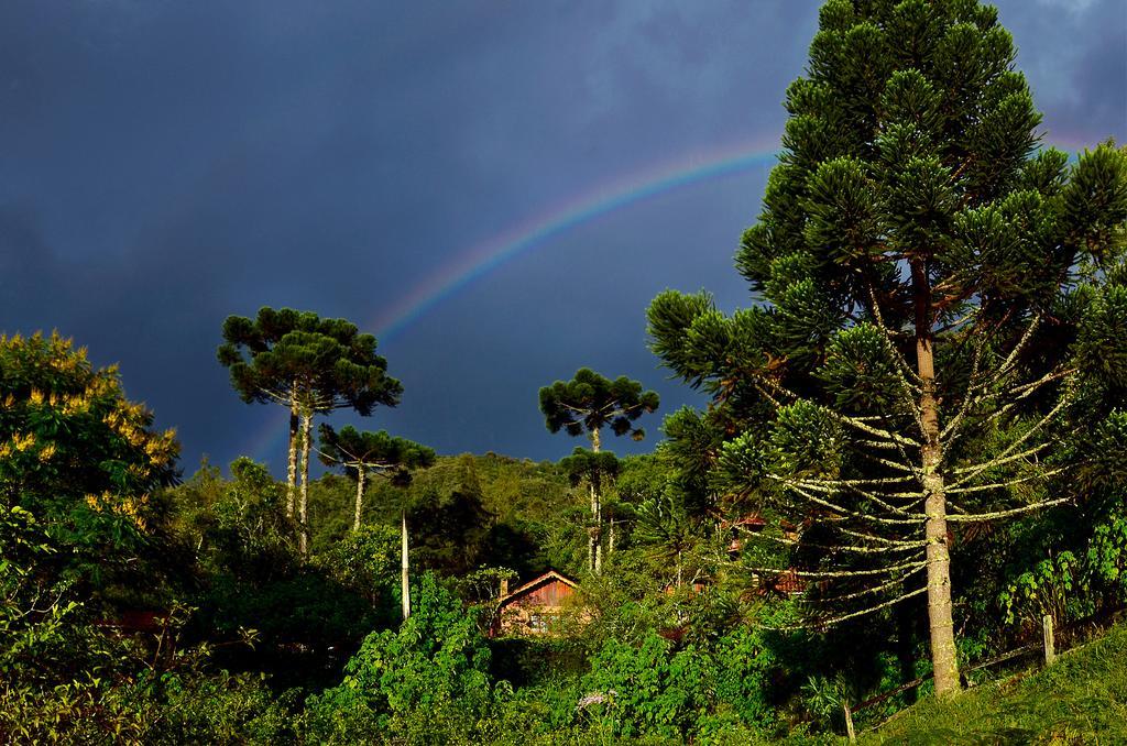 Pousada Das Araucarias فيسكوندي دي ماوا المظهر الخارجي الصورة