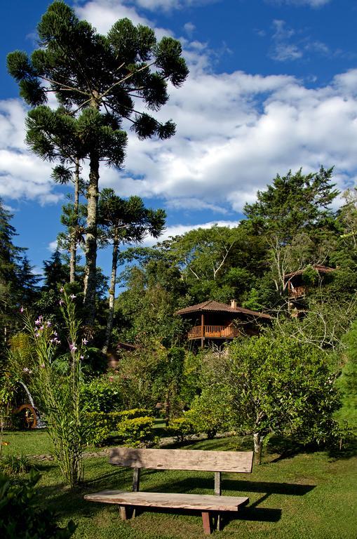 Pousada Das Araucarias فيسكوندي دي ماوا الغرفة الصورة