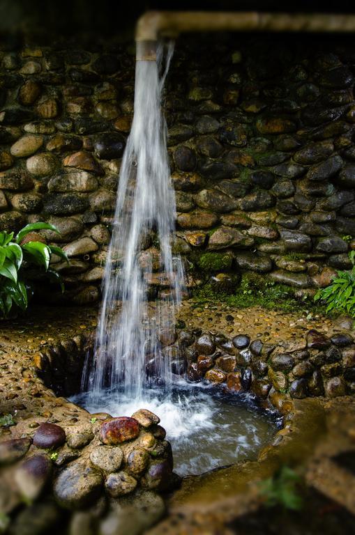 Pousada Das Araucarias فيسكوندي دي ماوا المظهر الخارجي الصورة